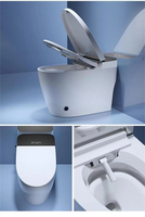 Bidet intelligent certifié CE RoHS avec chauffage instantané, chasse d'eau automatique, sécheur à air chaud et lumière de nuit LED