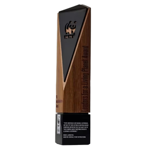Médaille de trophée en <span class=keywords><strong>bois</strong></span> et acrylique personnalisée peinte Annatto Craft pour les cérémonies de remise des prix Panneau mural incontournable et boîtes en <span class=keywords><strong>bois</strong></span> - Product Image 2