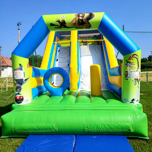 Tobogán inflable Madagascar de calidad comercial para niños, castillo inflable para fiestas al aire libre. - Product Image 1