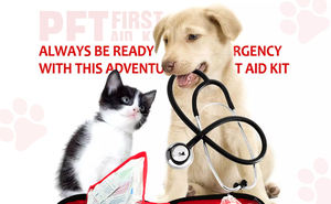 2025ชุดปฐมพยาบาลสัตว์เลี้ยงขนาดเล็กของแท้กระเป๋านิรภัยอุปกรณ์ดูแลฉุกเฉิน - Product Image 6