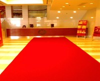 Style moderne du fournisseur de la Chine Tapis rouge pour événement intérieur-extérieur Tapis en polyester lavable avec tapis de porte rembourrés