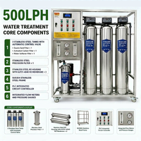 500LPH Récipients sous pression Système de traitement de l'eau industriel Machine de filtre à eau RO avec pompes doseuses