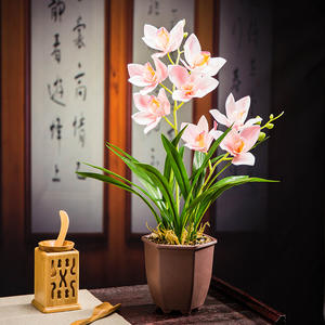 Vente directe en usine, Pot de fleurs pour la culture d'orchidées, Pot de fleurs - Product Image 3