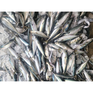 Đông Lạnh Scad Ngựa Cá Thu Thomson Cá Đông Lạnh Đông Lạnh Ngựa Cá Thu Để Bán - Product Image 5