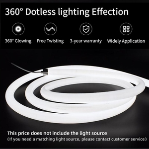 Tuyaux néon décoratifs en silicone flexible pour éclairage extérieur de routes, ponts et bâtiments – Vente en gros directe usine Chine - Product Image 6