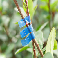 10000 pièces/boîte Agrafeuse Tapetool Agrafe pour lier les arbres fruitiers Agrafe pour lier les branches des plantes Tronc Connecteur Outil de ligature des tiges