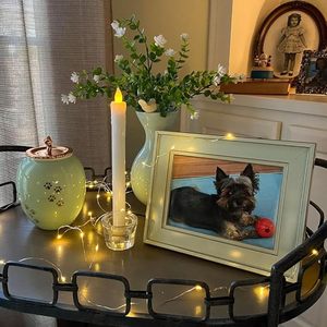 Urna Funeraria in Ceramica per Ceneri di Animali Domestici, Scatola Commemorativa per Cani e Gatti con Impronte di Zampe sul Coperchio, Logo Personalizzato - Product Image 6