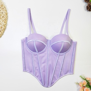 Nuevo Sujetador Sin Tirantes con Efecto Escarchado, Corsé Moldeador con Varillas, Lencería Sexy para Mujer, Corsé Estilo Corte - Product Image 3