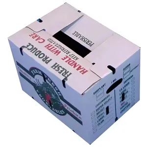 사용자 정의 A4 골판지 왁스 우편 상자 과일 및 야채 포장-배달 과일 판지 상자 제조업체