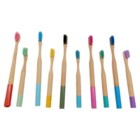 Ensemble de brosses à dents en bambou naturel poils souples charbon de bois blanchiment des dents soins bucco-dentaires aide dentaire usage domestique