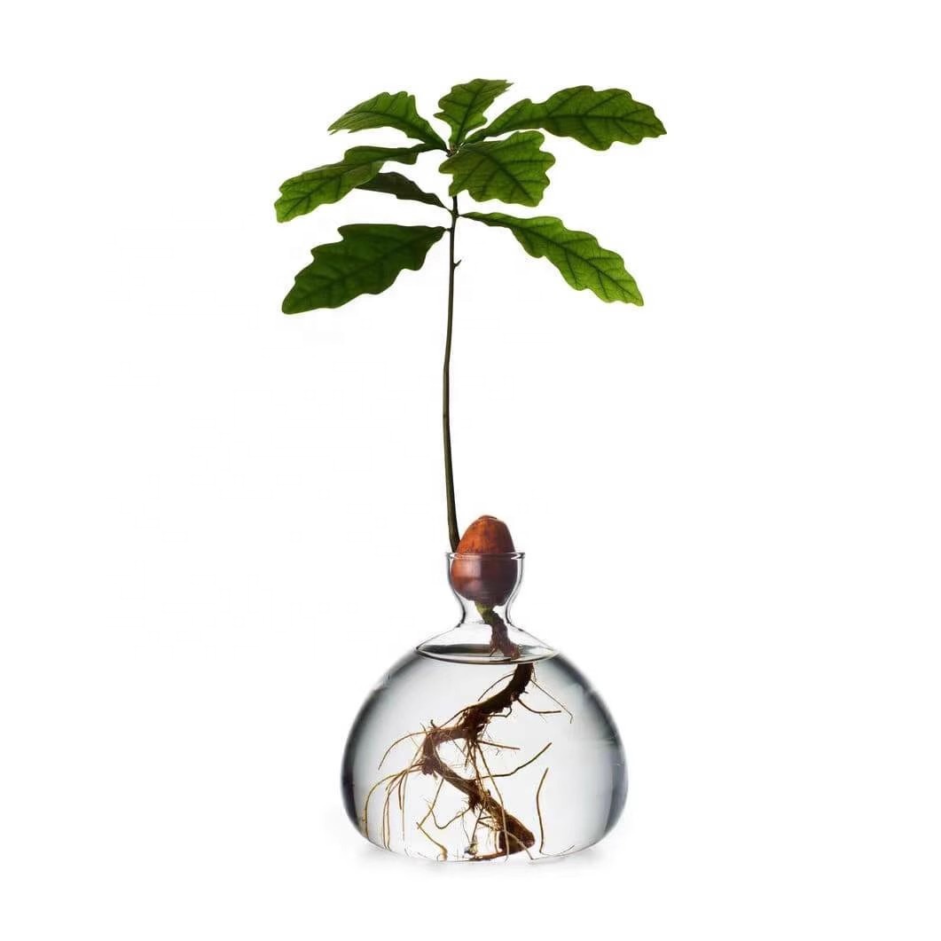 modern indoor plant stands Modern Elevated Planter and Plant Stand Set
