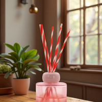 Diffuseur de parfum plat à roseaux, flacon vide, pierre aromatique, nouvelle arrivée, adorable petite lune, huile parfumée pour la tête, Innovation Vodka