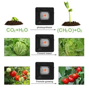 ไฟปลูกพืชแบบ Full Spectrum LED Cob 50W IP65 กันน้ำ สำหรับการเจริญเติบโตของพืช พร้อมค่า PPF 2900 และมุมลำแสง 20 องศา - Product Image 4