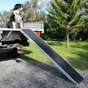 Rampa Pieghevole in Alluminio Leggera e Personalizzabile per Scooter, Furgoni, Auto, Sedie a Rotelle e <span class=keywords><strong>Moto</strong></span>, Capacità 340kg LR-002 - Product Image 4
