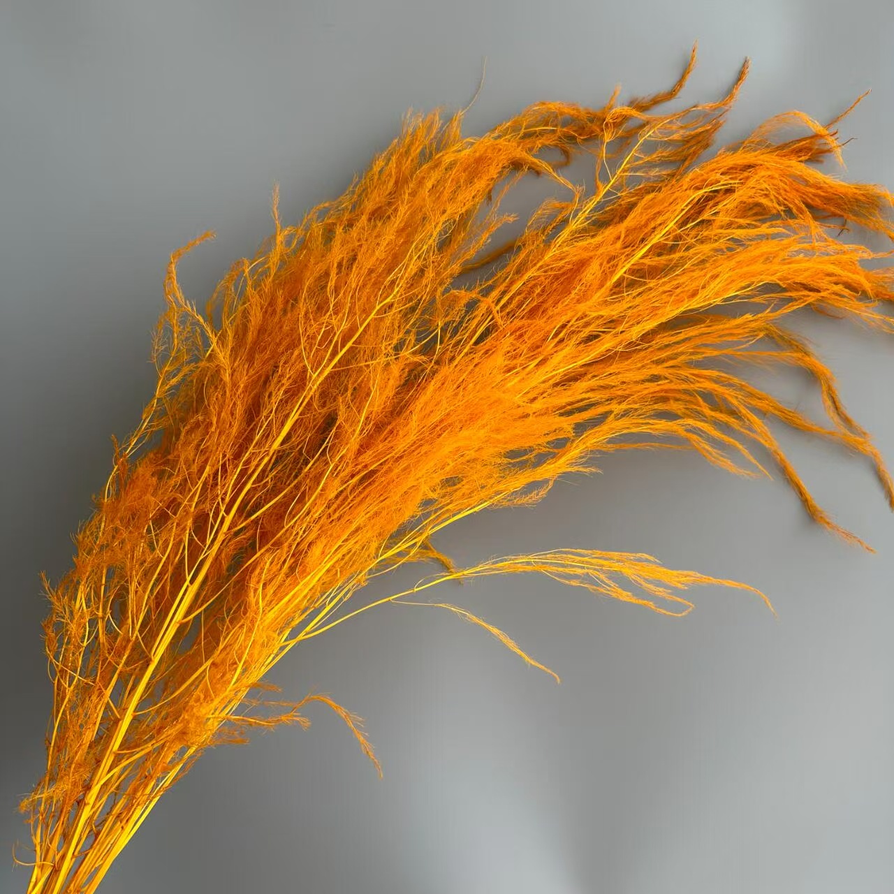 Mandarine