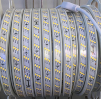 220V Haute Tension 120leds 120leds IP65 Double Rangée Led Bande 5730 Led 2835 Led 50500 Led Bande Flexible Blanc Chaud Flexible