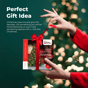 Kit <span class=keywords><strong>de</strong></span> débutant <span class=keywords><strong>de</strong></span> sapin <span class=keywords><strong>de</strong></span> Noël Offre Spéciale Excellent <span class=keywords><strong>cadeau</strong></span> <span class=keywords><strong>pour</strong></span> les amoureux <span class=keywords><strong>de</strong></span> Noël <span class=keywords><strong>pour</strong></span> la maison jardin avec des pots <span class=keywords><strong>de</strong></span> fleurs élégants jardinières - Product Image 6