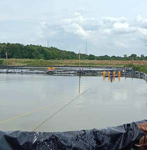 Vente de géomembrane HDPE, prix au mètre carré au Pérou - Product Image 3