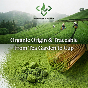 Matcha en Polvo Certificado Orgánico por USDA y la UE, Grado Ceremonial, Té Verde Matcha en Polvo al por Mayor - Product Image 4