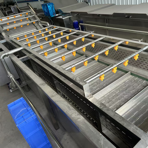 Máquina Automática de Lavado y Limpieza por Burbujas Ultrasónicas para Frutas y Verduras como Arándanos, Mango, Tomate y Aguacate - Product Image 2