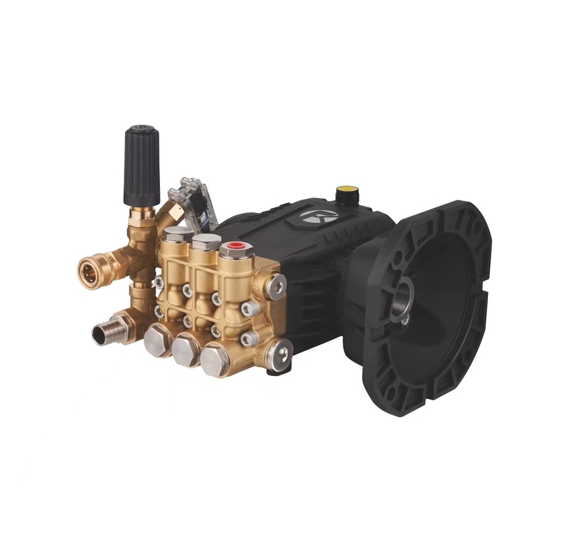 13 2 20L 250BAR Triplex Plunger