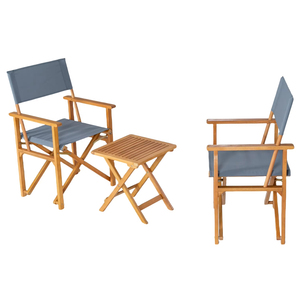 Juego de muebles de director portátil de tela duradera, cómodo jardín al aire libre, Camping, patio, Hotel, parque, apartamento, Villa, Hospital - Product Image 1