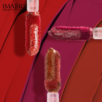 Gloss à lèvres liquide imperméable personnalisé OEM, végan et sans cruauté, longue tenue 24H, haute brillance, prix de gros IMAGIC Factory