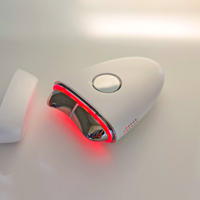 Mini appareil de beauté numérique chaud et froid Anti-âge Raffermissement de la peau Guasha Lifting du visage Vibration Masseur facial Rechargeable par USB