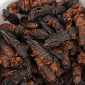 <span class=keywords><strong>Lou</strong></span> Gu สำหรับอาหารแมงมุมขนาดเล็ก - Product Image 2