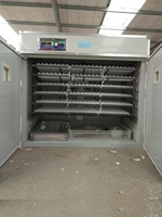 Incubateur solaire automatique pour œufs, 30 unités, pour poulet, chèvre, canard, caille