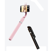 Perche à Selfie Mobile Portable R1L de 170 cm avec Trépied, Rotation à 360°, Télécommande Sans Fil et Anneau Lumineux
