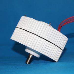 3 Phase Sans Engrenage à COURANT ALTERNATIF à <span class=keywords><strong>Aimant</strong></span> <span class=keywords><strong>Permanent</strong></span> Alternateurs 500W 12/24/48V <span class=keywords><strong>Pour</strong></span> Éolienne - Product Image 6