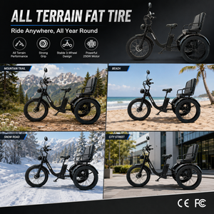 <span class=keywords><strong>Tricycle</strong></span> <span class=keywords><strong>électrique</strong></span> à gros pneus pour adultes, moteur 250W, <span class=keywords><strong>tout</strong></span>-<span class=keywords><strong>terrain</strong></span>, certifié CE FCC, fabrication OEM ODM - Product Image 4