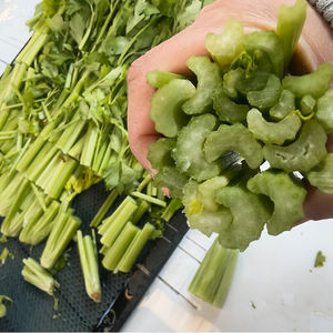 Cortadora de carne de verduras Waterjet de corte de agua pura con cuatro cabezas - Product Image 4