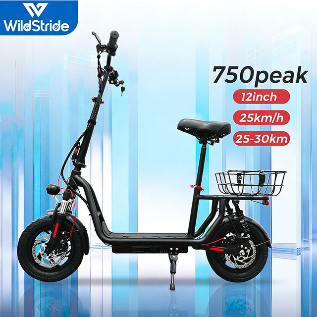 Off-Road 12 Inch Powerful Electric Scooter 36V 7.8AH  Brushless Motors 750Peak E-scooter 25KM/H Adult Electric Scooter