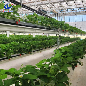 Système de culture de <span class=keywords><strong>fraises</strong></span> vertical avec gouttière relevable, gouttière hydroponique pour ferme et serre - Product Image 3
