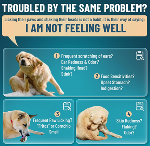 Thuốc giảm nhiễm nấm men OEM/ODM cho chó-giảm kích ứng & viêm-Làm dịu ngứa, Điều trị nhiễm trùng tai - Product Image 4