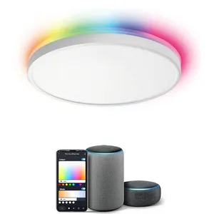 Home Verlichting App Wifi Bt Slaapkamer Plafondlamp Ronde Music Room Lichten Mi Tuya Smart Led Plafondlamp