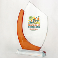 Vente d'usine : Plaque de récompense en cristal personnalisée, courbe orange, trophée moderne en cristal
