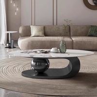 Table Basse Ovale Nordique de Salon Moderne Luxe Grande Taille Design Boule de Thé Meuble de Maison en Métal