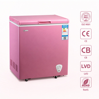 Congélateur Coffre Électrique Professionnel Snowsea BD-158 CE CB avec Serrure, Lumière LED et Température Unique, Mini Congélateur à Gaz à Porte Simple