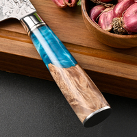 Ensemble de couteaux de cuisine Damas haut de gamme 7 pièces avec couteaux de chef en acier japonais VG10 à 67 couches, manche en bois de résine OEM/ODM