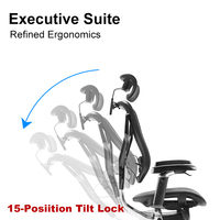 Chaise de bureau ergonomique entièrement en maille, pivotante, robuste, avec commande par palette, accoudoirs 5D, pour importateurs et distributeurs, testée BIFMA