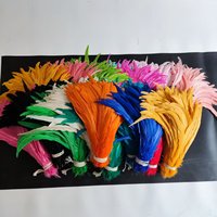 Plumes de queue de coq naturelles blanchies et teintes en vrac, en gros, à bas prix, provenant de Chine HEN, pour la décoration de robes de carnaval