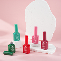 Nouveau design, gel coloré haute pigmentation, logo personnalisé, gel coloré macaron