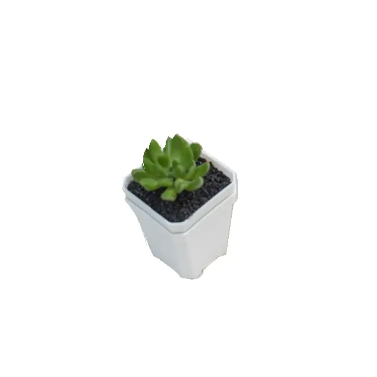 Pot de semis de fleur carré pas cher Mini jardinage en plastique bonsaï en plastique échantillon gratuit prix de gros boîte intérieure avec carton 1 pièces