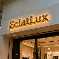 Enseigne LED à lettres en relief Starry Channel Letter, matrice de points scintillante, lettres lumineuses en acier inoxydable pour logo de marque, publicité murale ou devanture de magasin