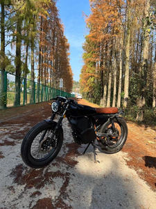 BJANE <span class=keywords><strong>moto</strong></span> Scooter électrique avec 2000w 72v citycoco - Product Image 6