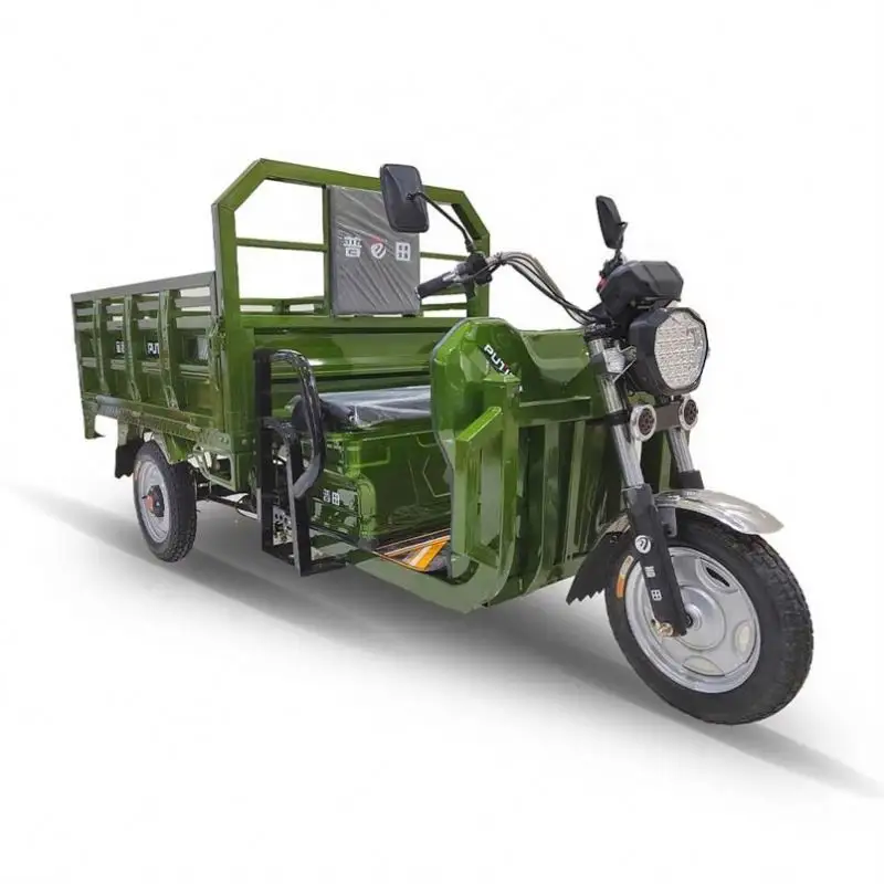 Factory Direct Cbu Three-Wheeler 200Cc Motor Tricycle Price For Cargo Delivery