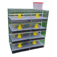 Vente chaude Cage d'alimentation pour animaux 3/4 niveaux 90-240/120-320 Oiseaux H Type Batterie Bébé Poussins Cages de couveuse pour ferme avicole